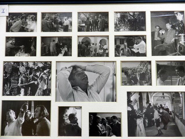 Makk Károlyra emlékeztünk 13